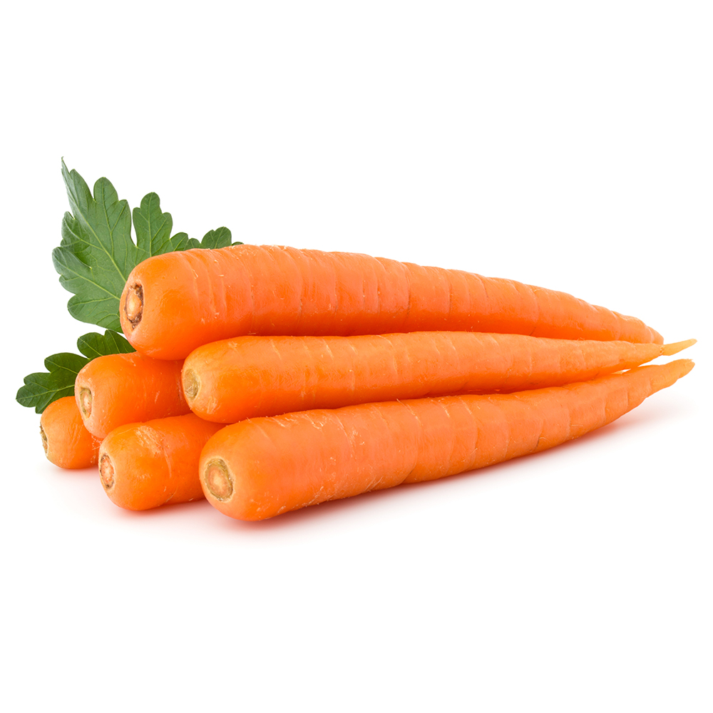 Carrot